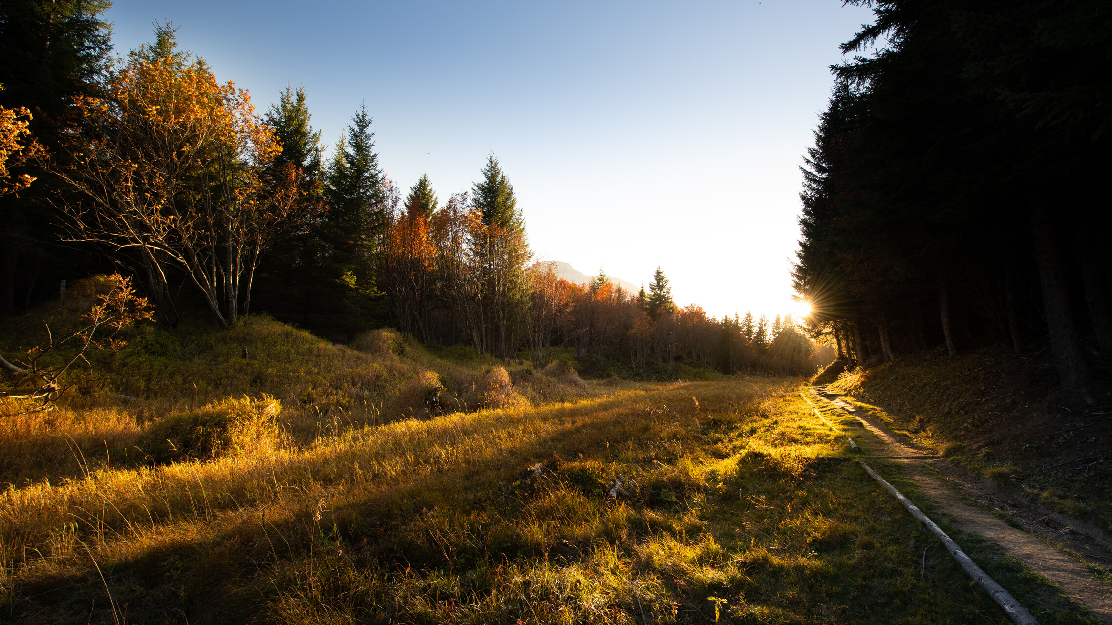 Herbst, die Jahreszeit der Tausend Farben !