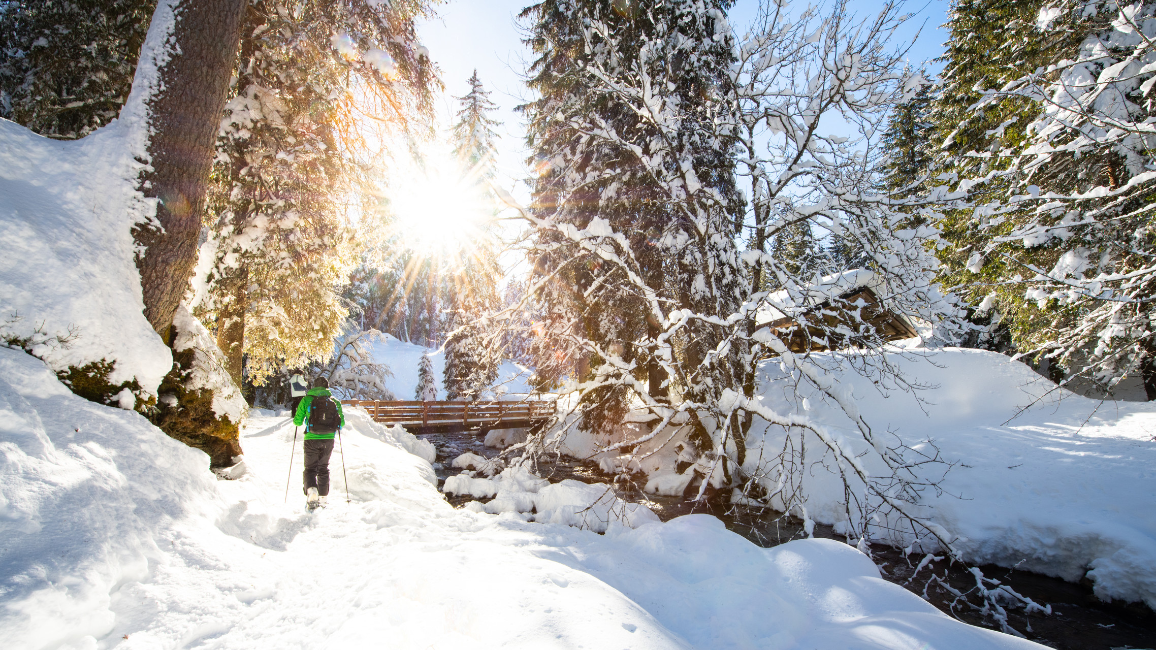 Streifen Sie auf Schneeschuhen der Vièze entlang durch den verschneiten Tannenwald des Vallon de They.