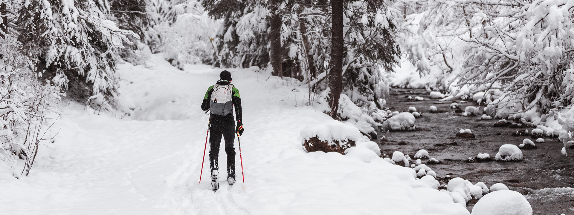 Winter sports : in the Region Dents du Midi