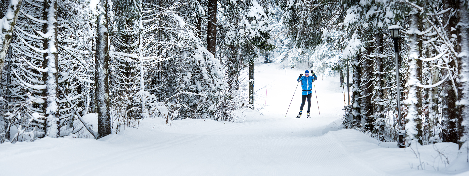 Winter sports : in the Region Dents du Midi