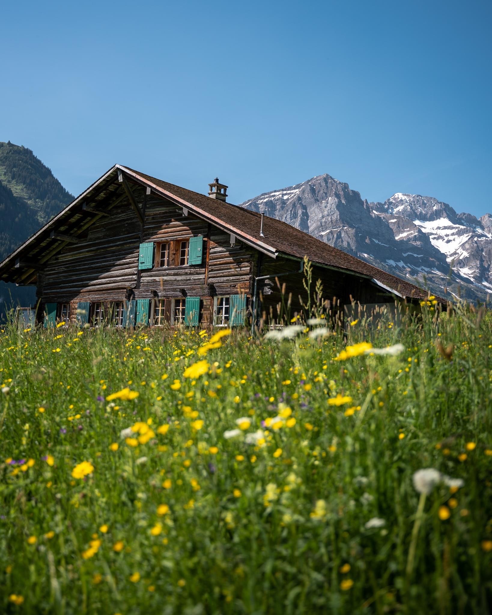 Traditional chalets offer authentic charm and a cosy home-away-from-home.