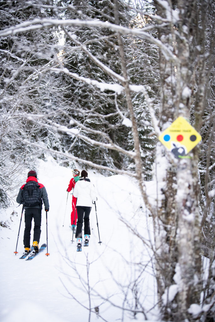 Winter sports : in the Region Dents du Midi