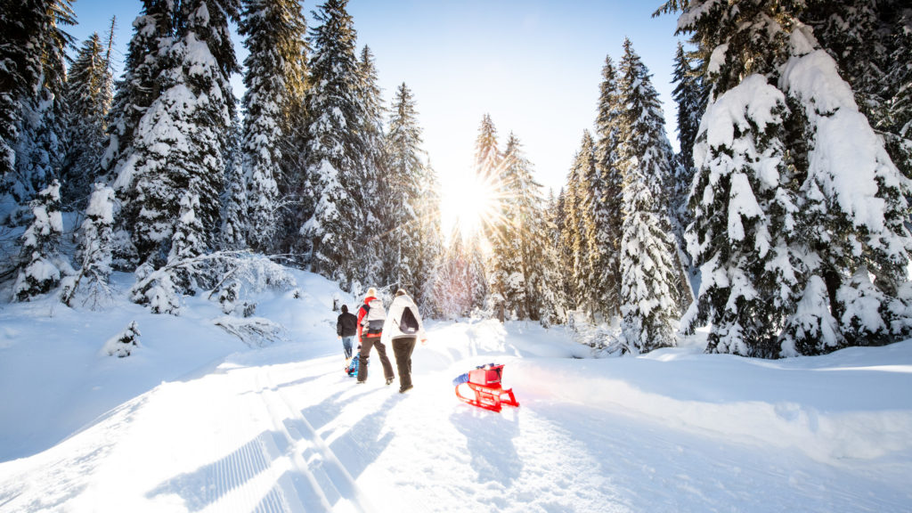 Winter sports : in the Region Dents du Midi